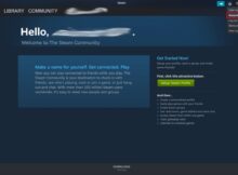 Steam interface